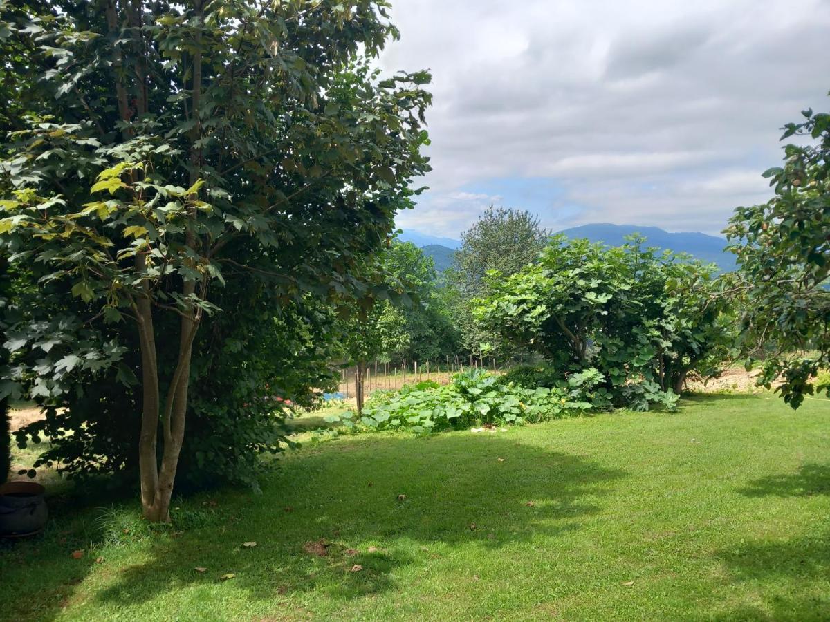 Villa Maisonnette A La Campagne Ariege à Saint-Girons  Extérieur photo